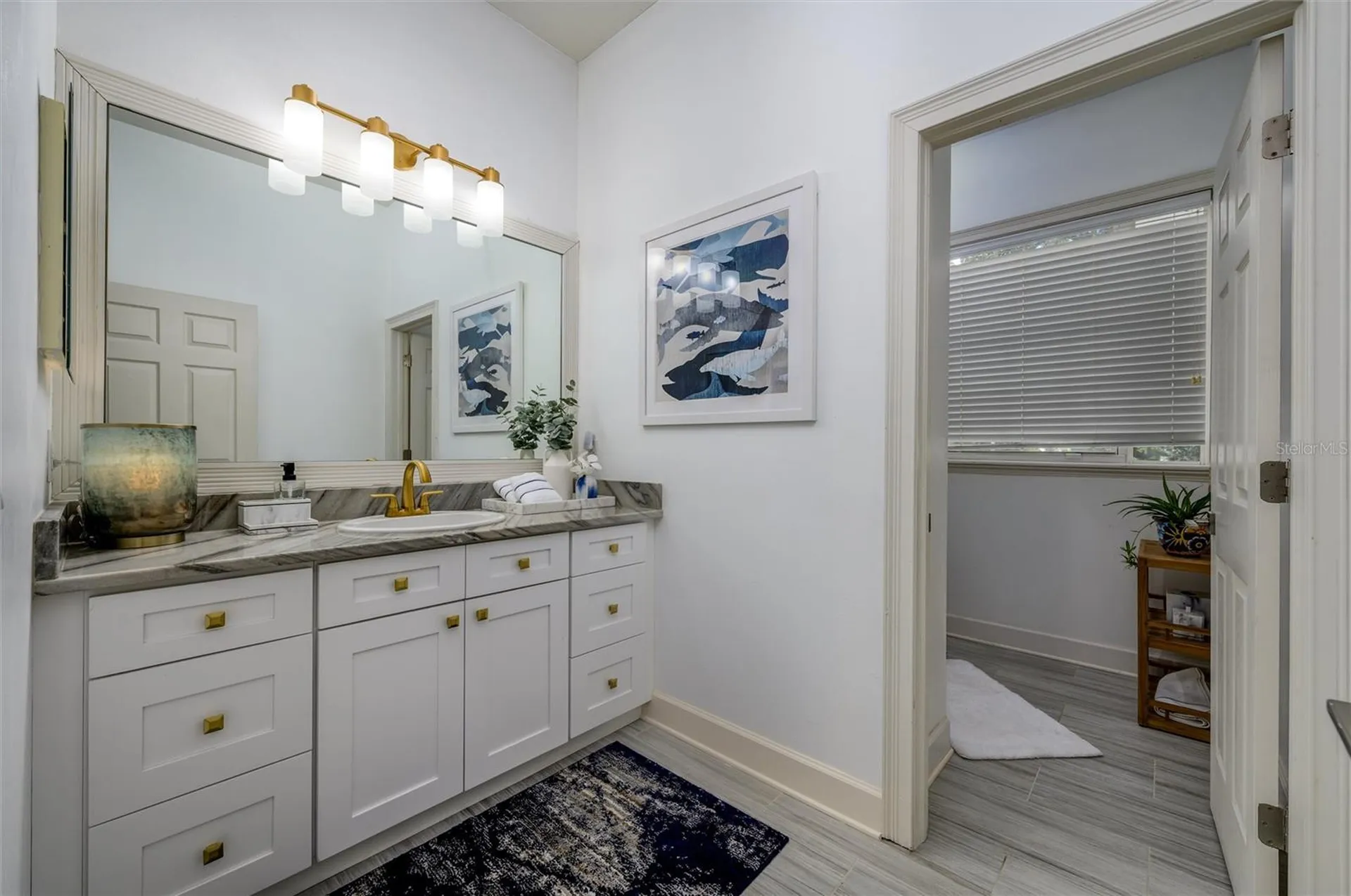 16328 Emerald Cove Drive Lutz FL 33549