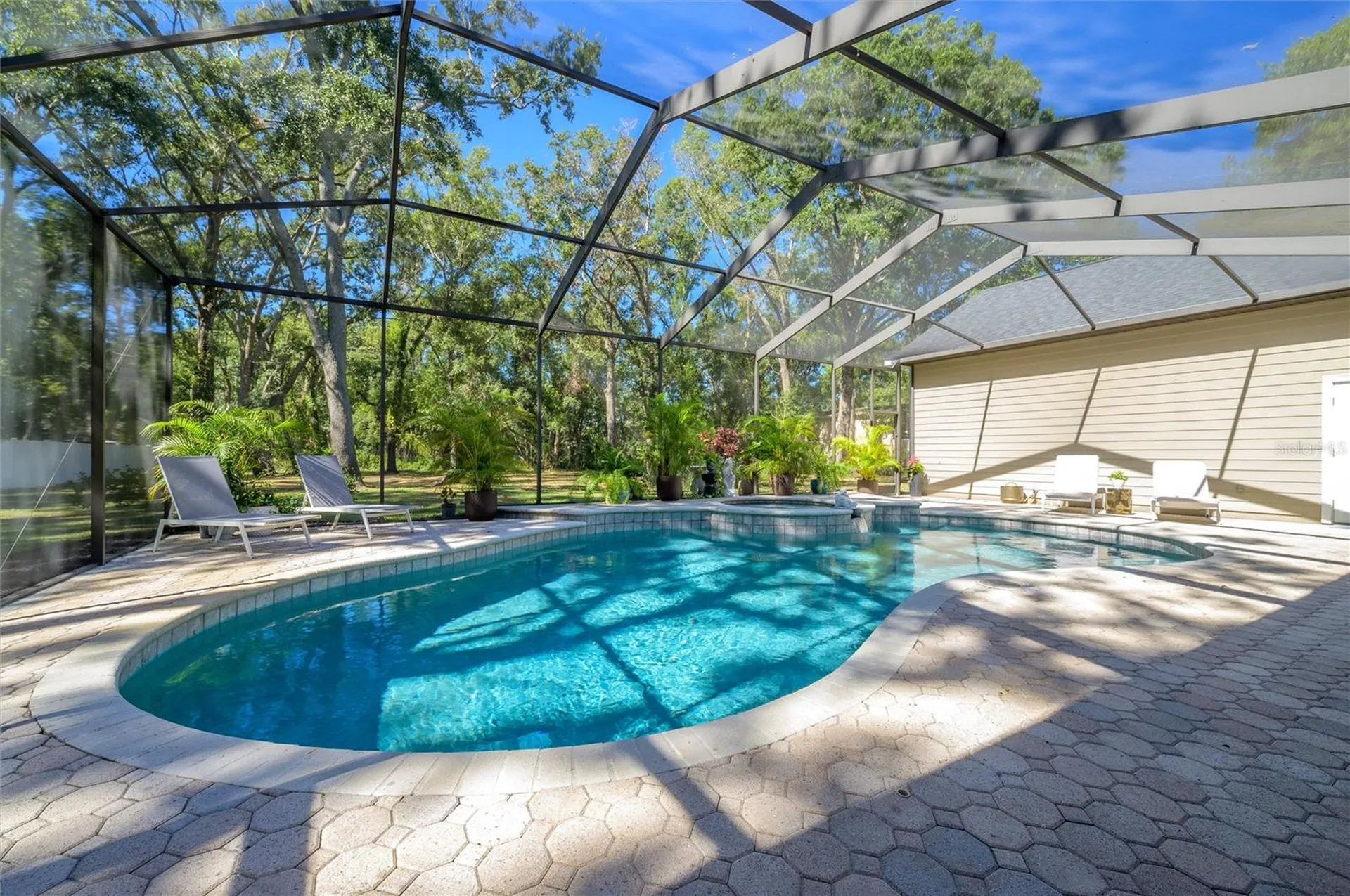 16328 Emerald Cove Drive Lutz FL 33549