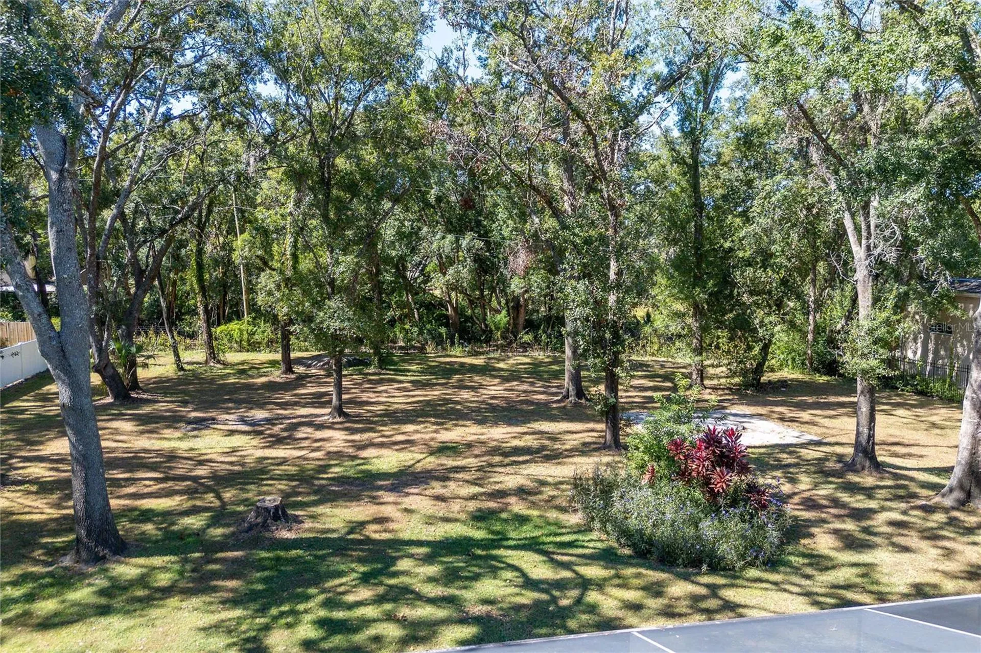 16328 Emerald Cove Drive Lutz FL 33549