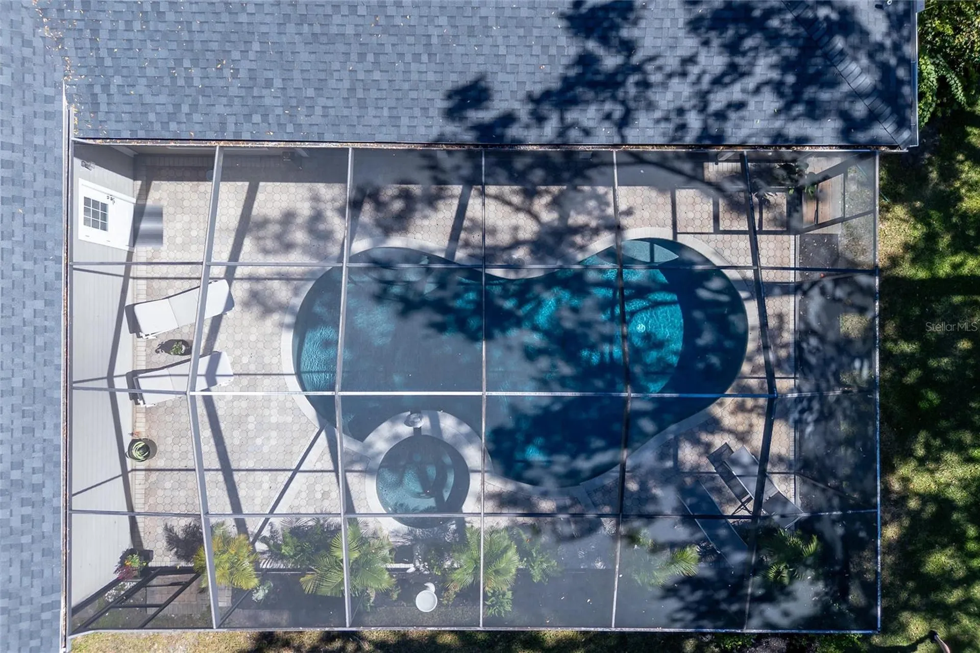 16328 Emerald Cove Drive Lutz FL 33549