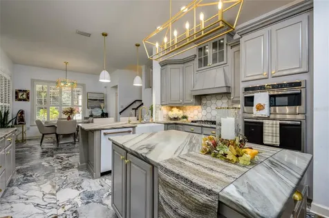 16328 Emerald Cove Drive Lutz FL 33549