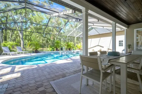 16328 Emerald Cove Drive Lutz FL 33549