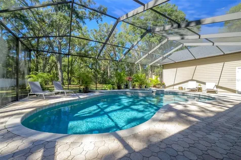 16328 Emerald Cove Drive Lutz FL 33549