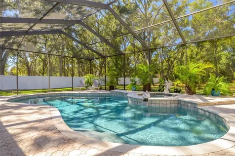 16328 Emerald Cove Drive Lutz FL 33549
