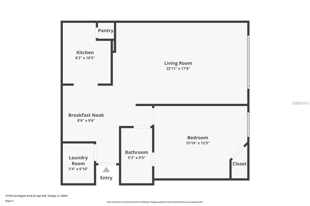 17102 Carrington Park Drive Tampa FL 33647