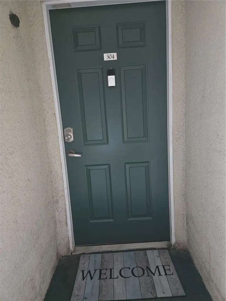 17102 Carrington Park Drive Tampa FL 33647