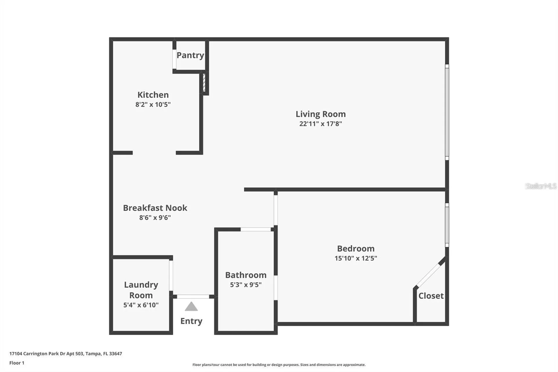 17102 Carrington Park Drive Tampa FL 33647