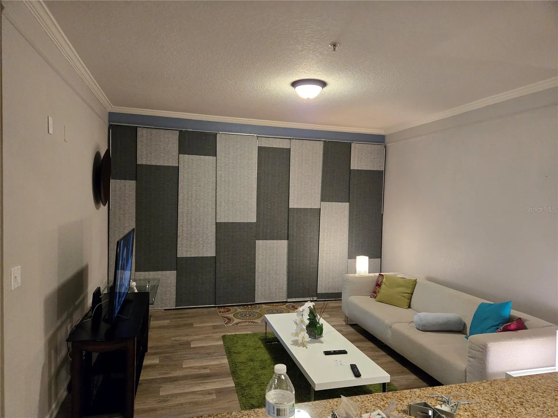 17102 Carrington Park Drive Tampa FL 33647