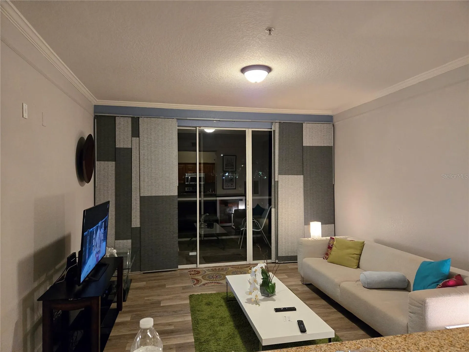 17102 Carrington Park Drive Tampa FL 33647