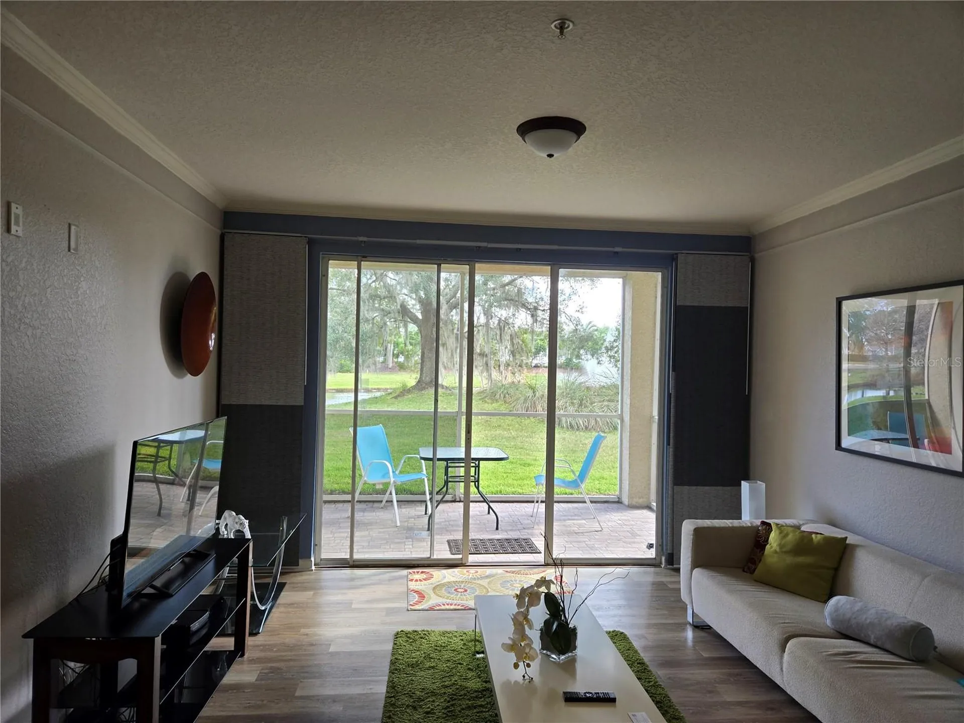 17102 Carrington Park Drive Tampa FL 33647