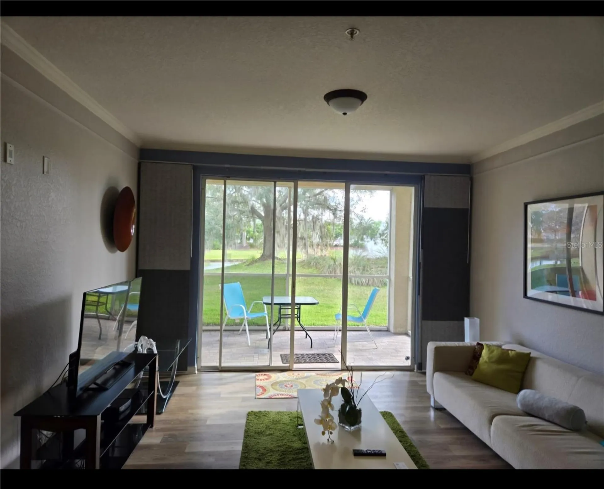 17102 Carrington Park Drive Tampa FL 33647