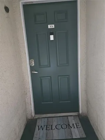 17102 Carrington Park Drive Tampa FL 33647