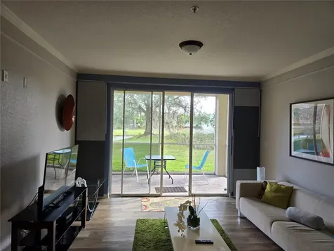 17102 Carrington Park Drive Tampa FL 33647