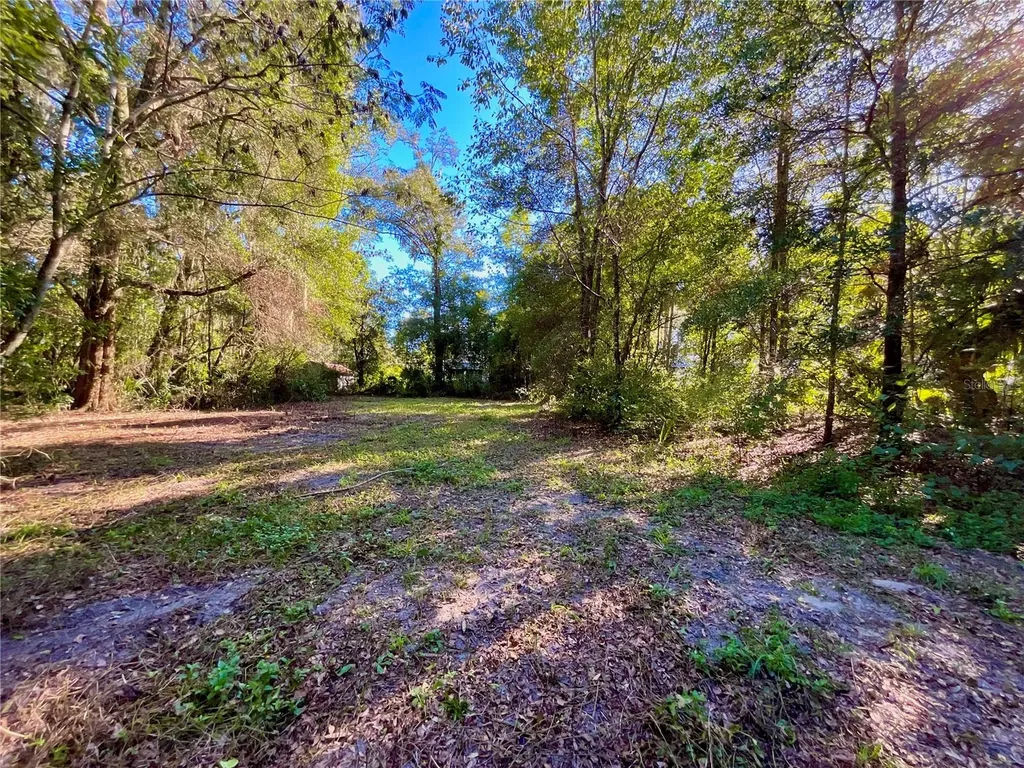 Trout Street Melrose FL 32666