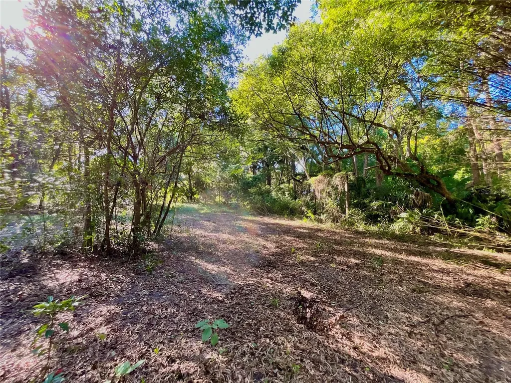 Trout Street Melrose FL 32666