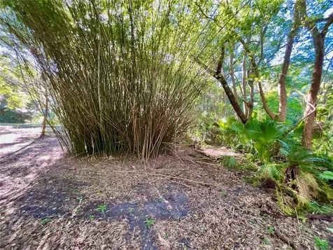 Trout Street Melrose FL 32666