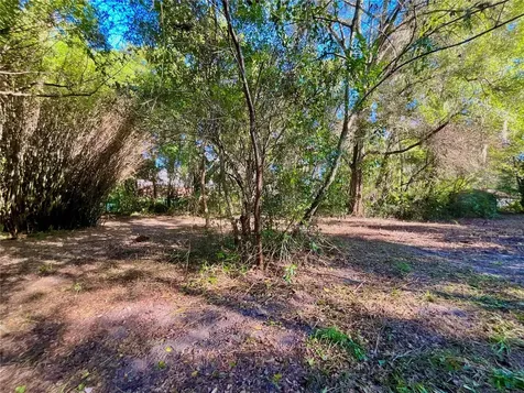 Trout Street Melrose FL 32666