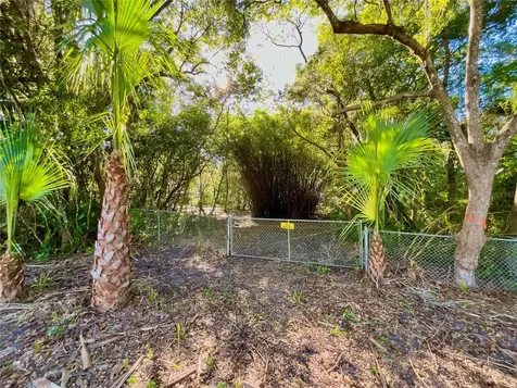 Trout Street Melrose FL 32666