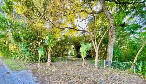 Trout Street Melrose FL 32666