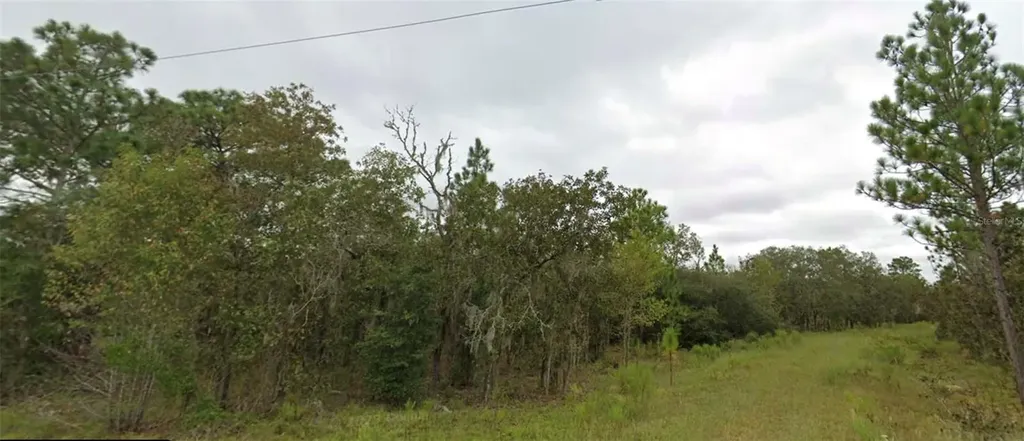 NE 151 Terrace Williston FL 32696