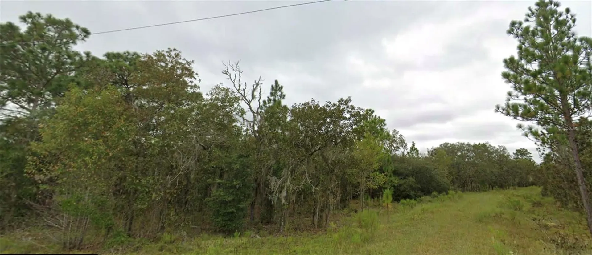 NE 151 Terrace Williston FL 32696
