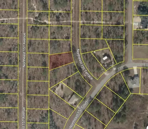 NE 151 Terrace Williston FL 32696