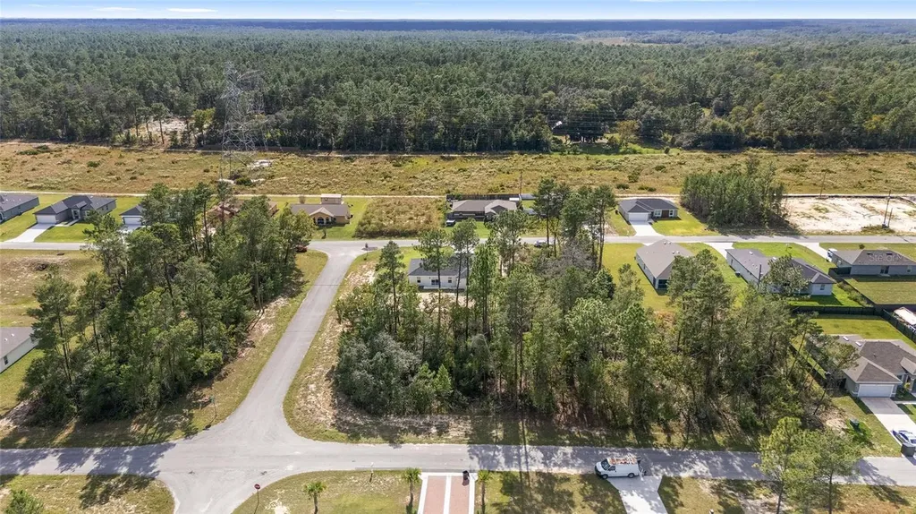 17025 SW 44th Circle Ocala FL 34473