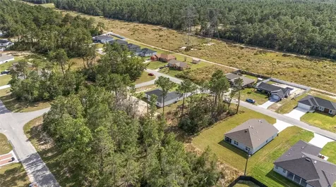 17025 SW 44th Circle Ocala FL 34473