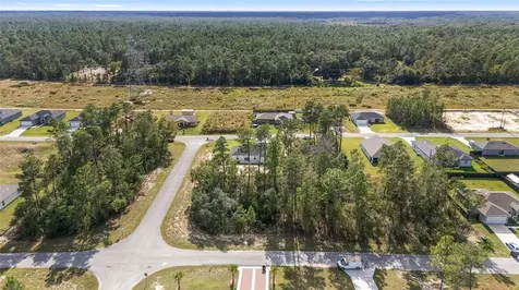 17025 SW 44th Circle Ocala FL 34473
