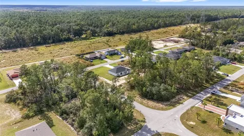 17025 SW 44th Circle Ocala FL 34473