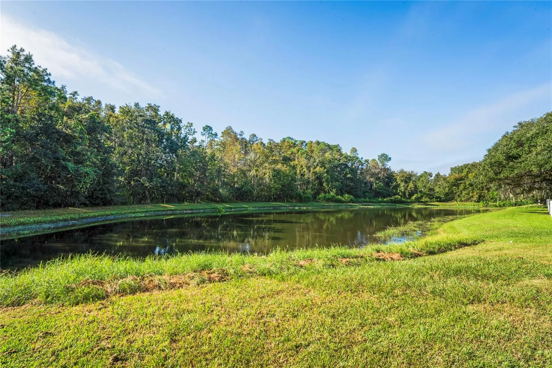 27004 Stillbrook Drive Wesley Chapel FL 33544