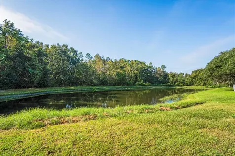 27004 Stillbrook Drive Wesley Chapel FL 33544