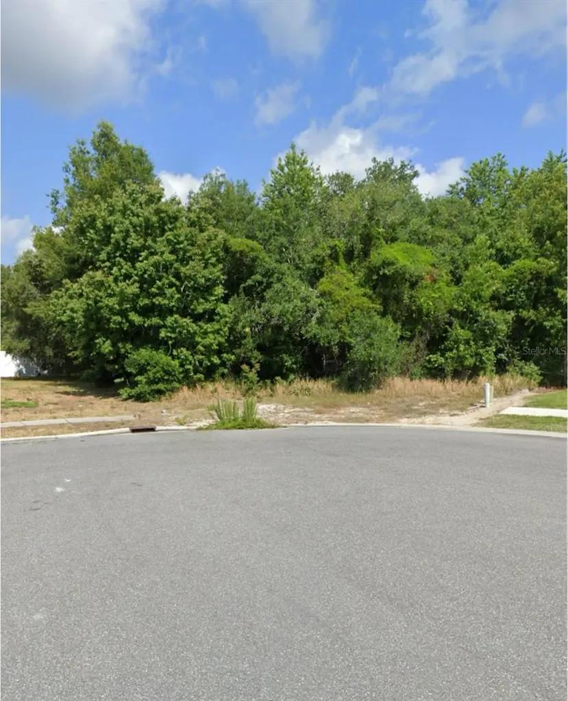 00000 Feltner Court Hudson FL 34667