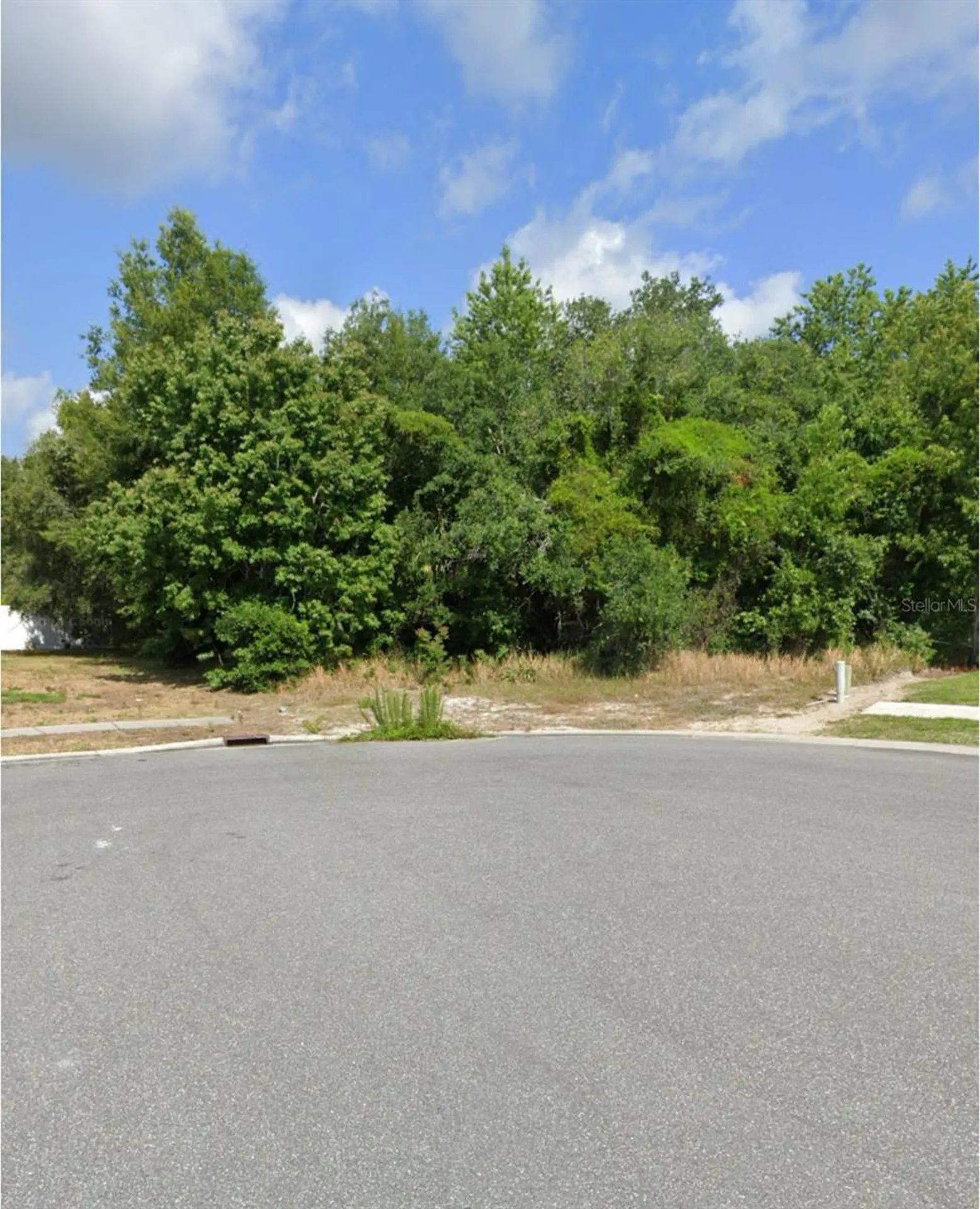 00000 Feltner Court Hudson FL 34667