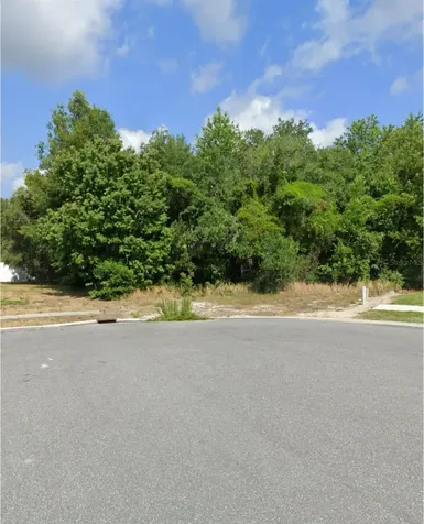 00000 Feltner Court Hudson FL 34667