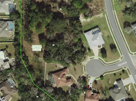 00000 Feltner Court Hudson FL 34667