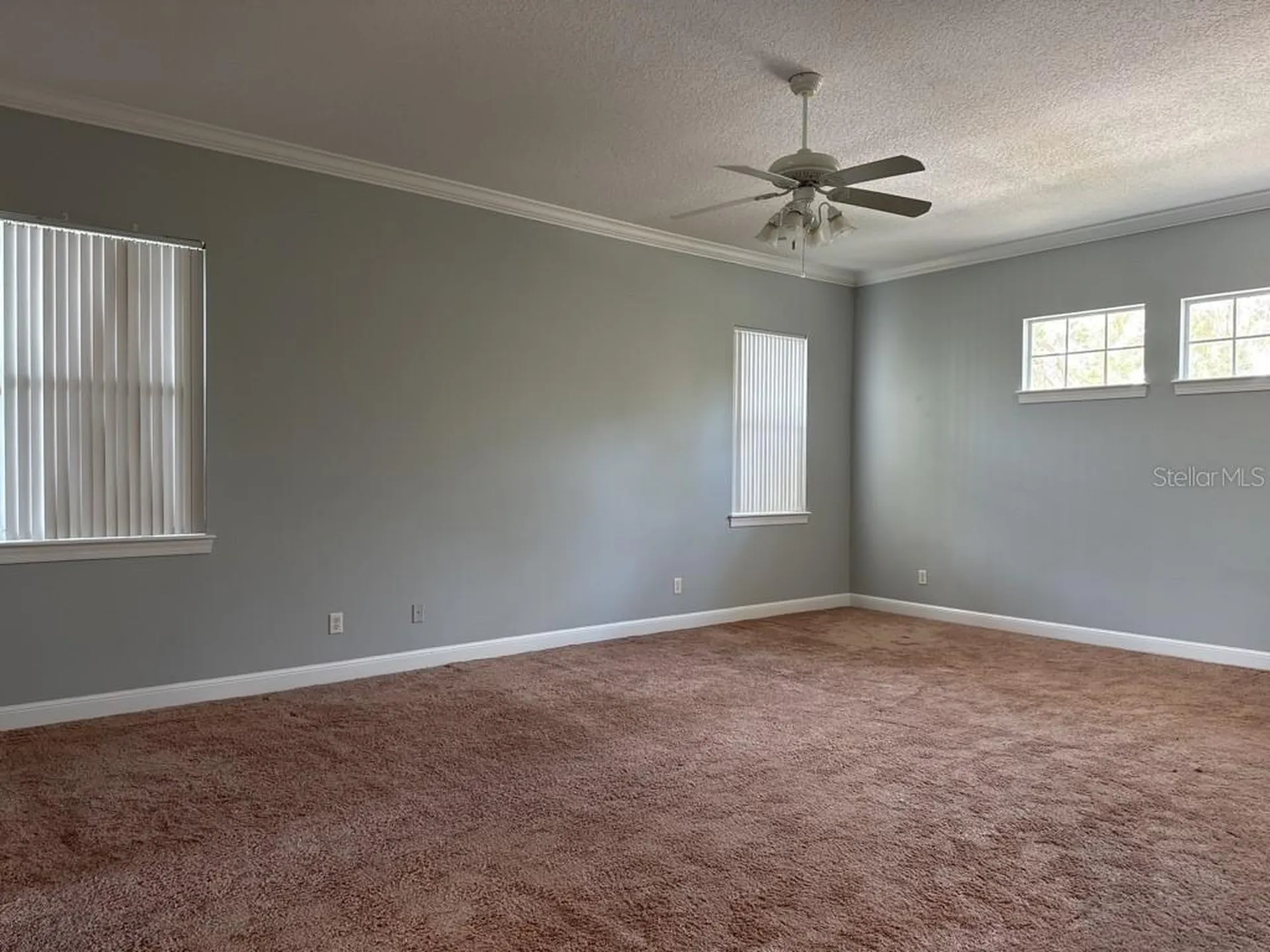 3307 W Corona Street Tampa FL 33629