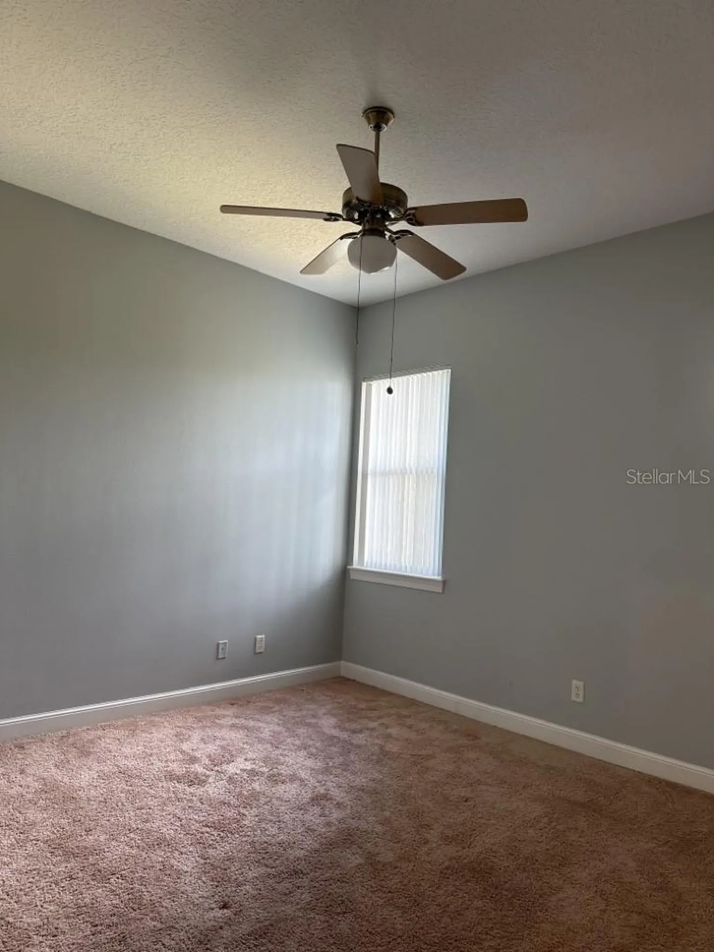 3307 W Corona Street Tampa FL 33629