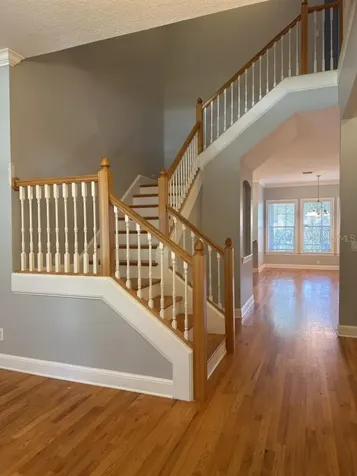 3307 W Corona Street Tampa FL 33629