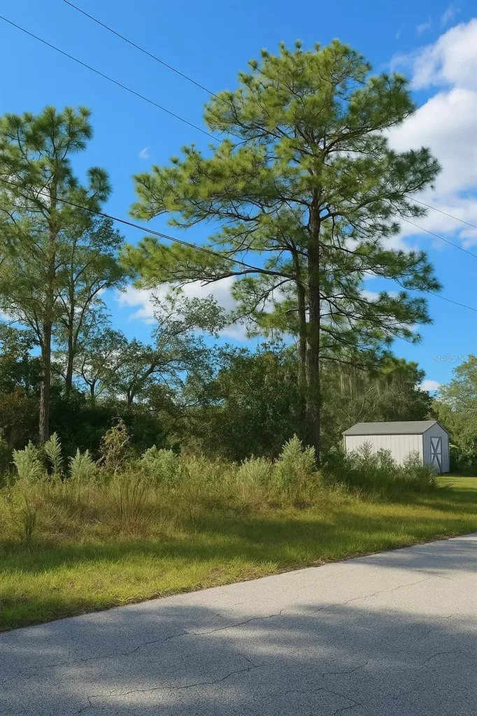 7800 N Primrose Drive Citrus Springs FL 34434
