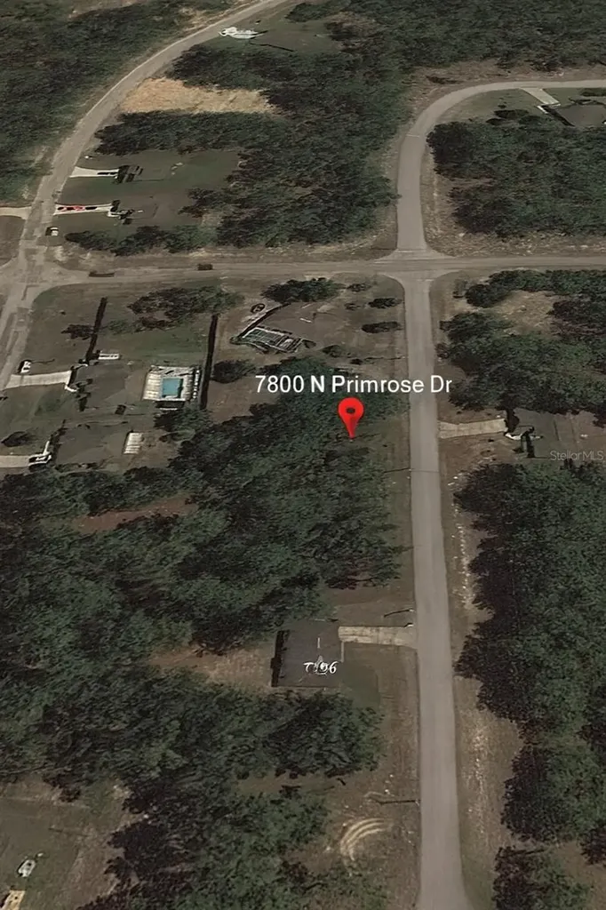 7800 N Primrose Drive Citrus Springs FL 34434