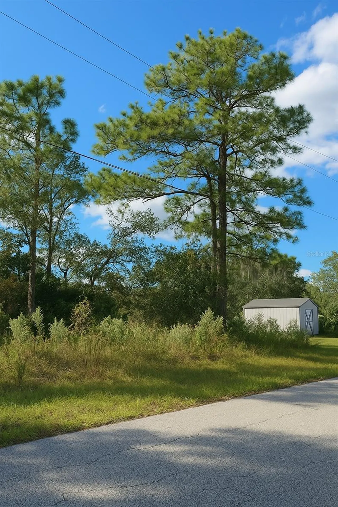 7800 N Primrose Drive Citrus Springs FL 34434