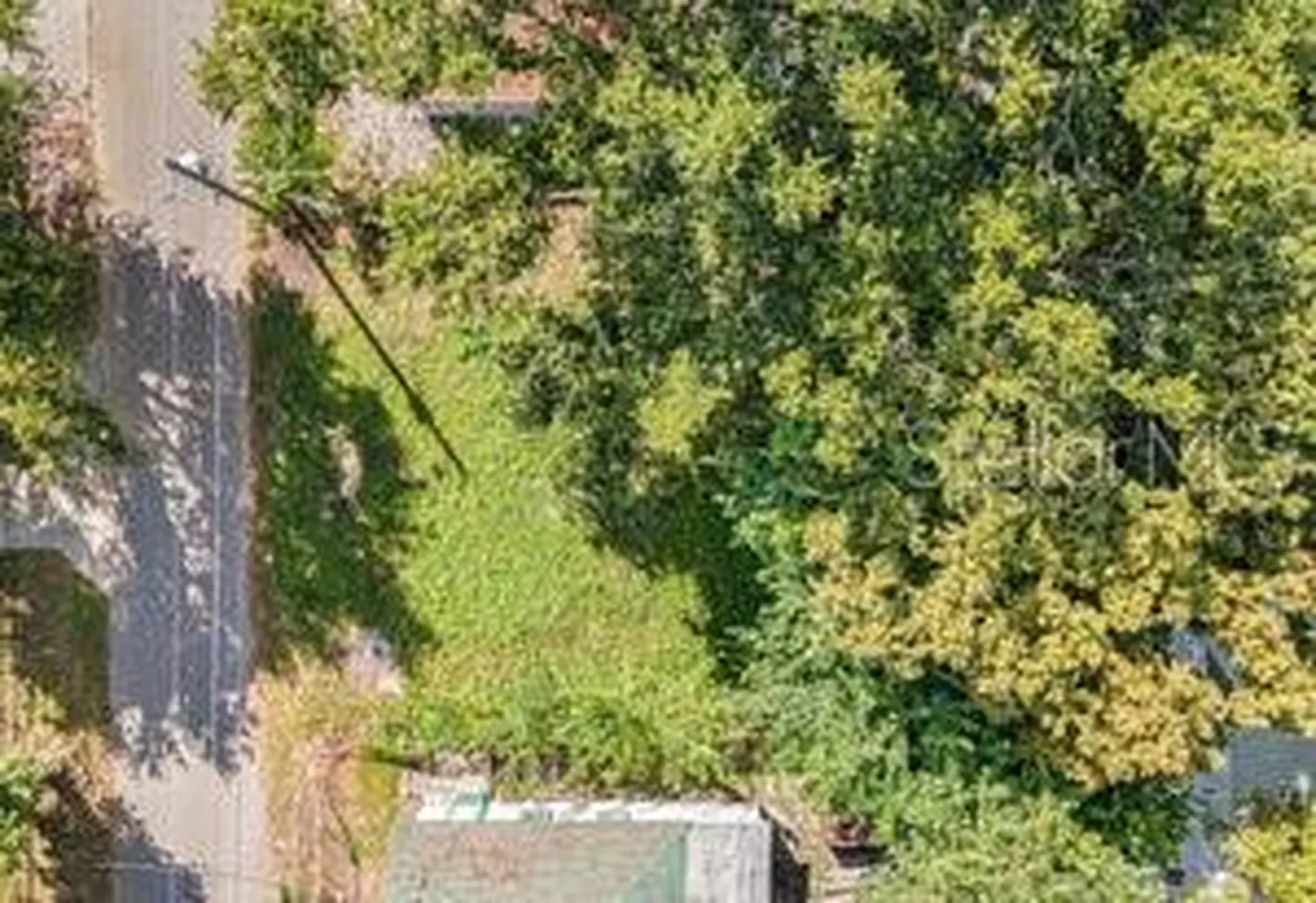 2304 N Grove Avenue Tampa FL 33602