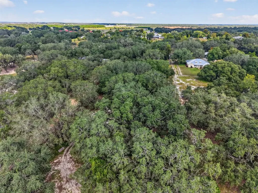 Gan Eden Drive Astatula FL 34705