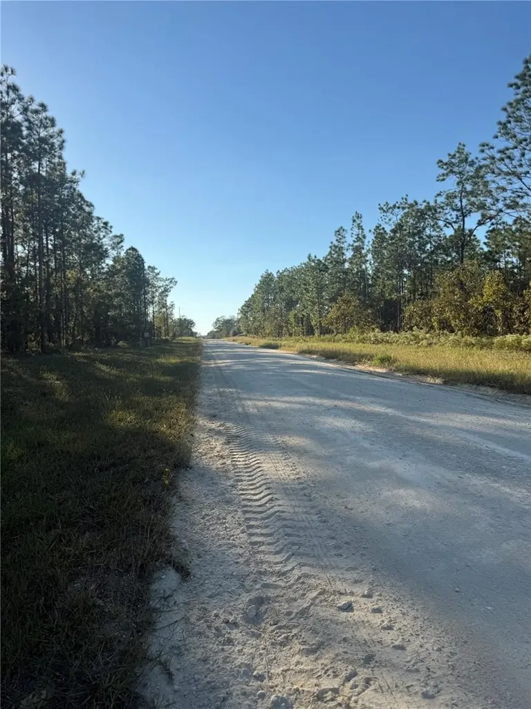 00 SE 73rd Lane Morriston FL 32668