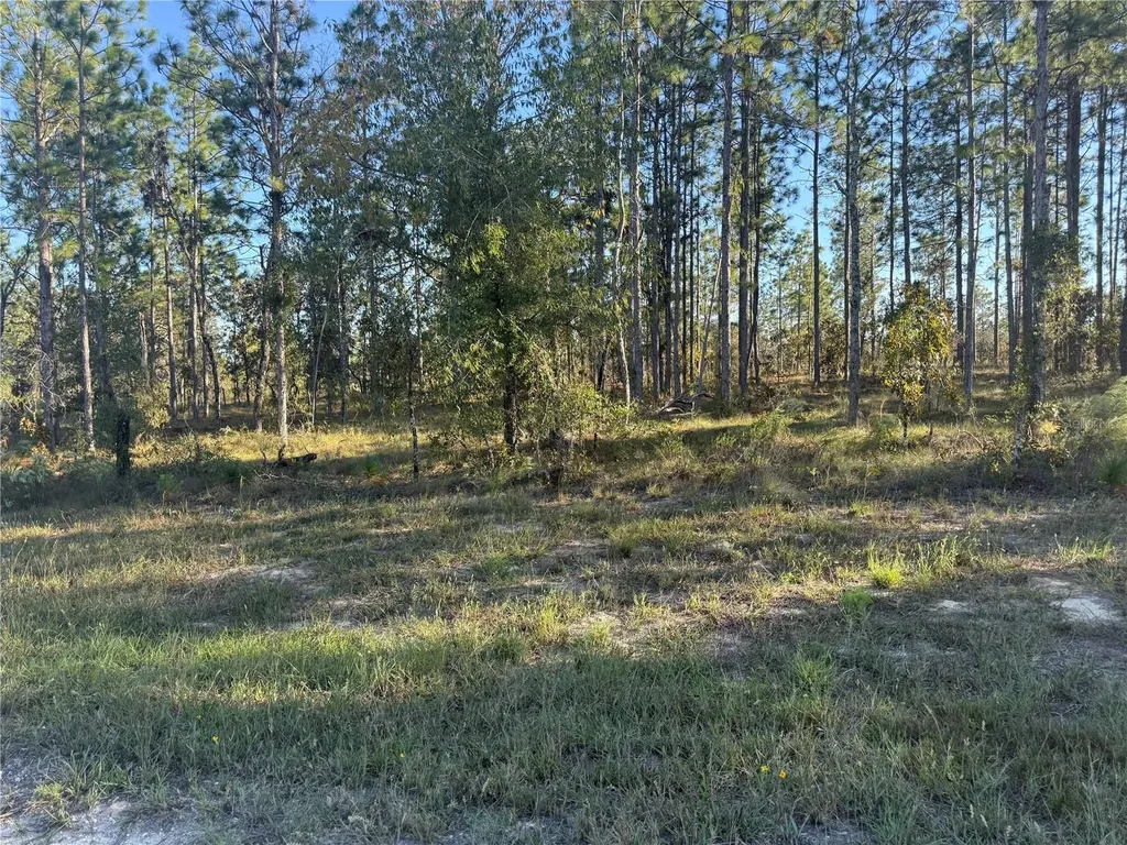 00 SE 73rd Lane Morriston FL 32668