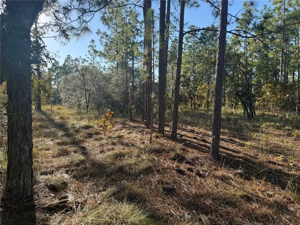00 SE 73rd Lane Morriston FL 32668