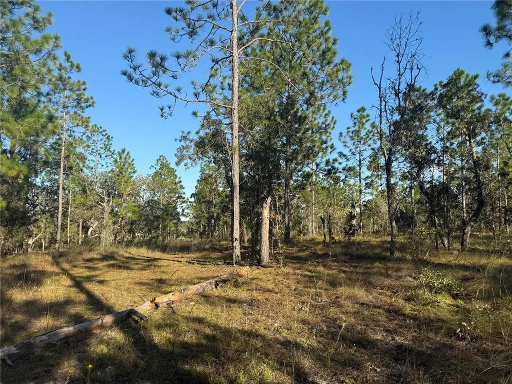 00 SE 73rd Lane Morriston FL 32668