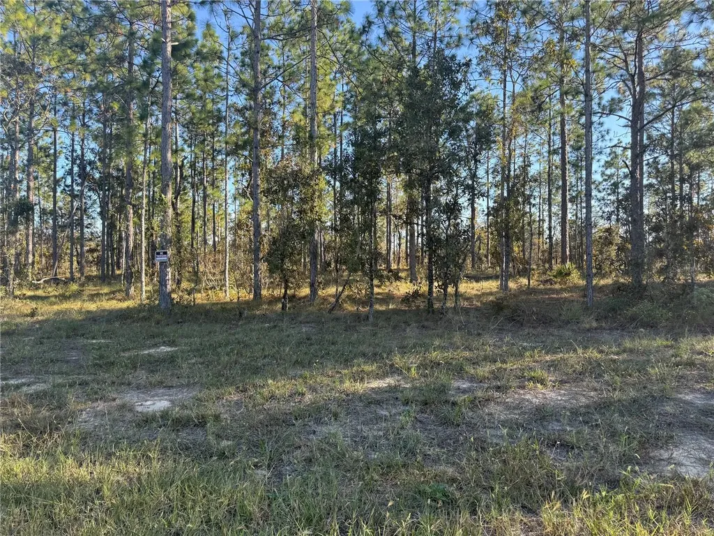 00 SE 73rd Lane Morriston FL 32668