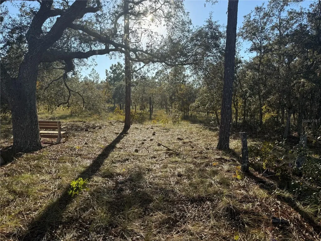 00 SE 73rd Lane Morriston FL 32668